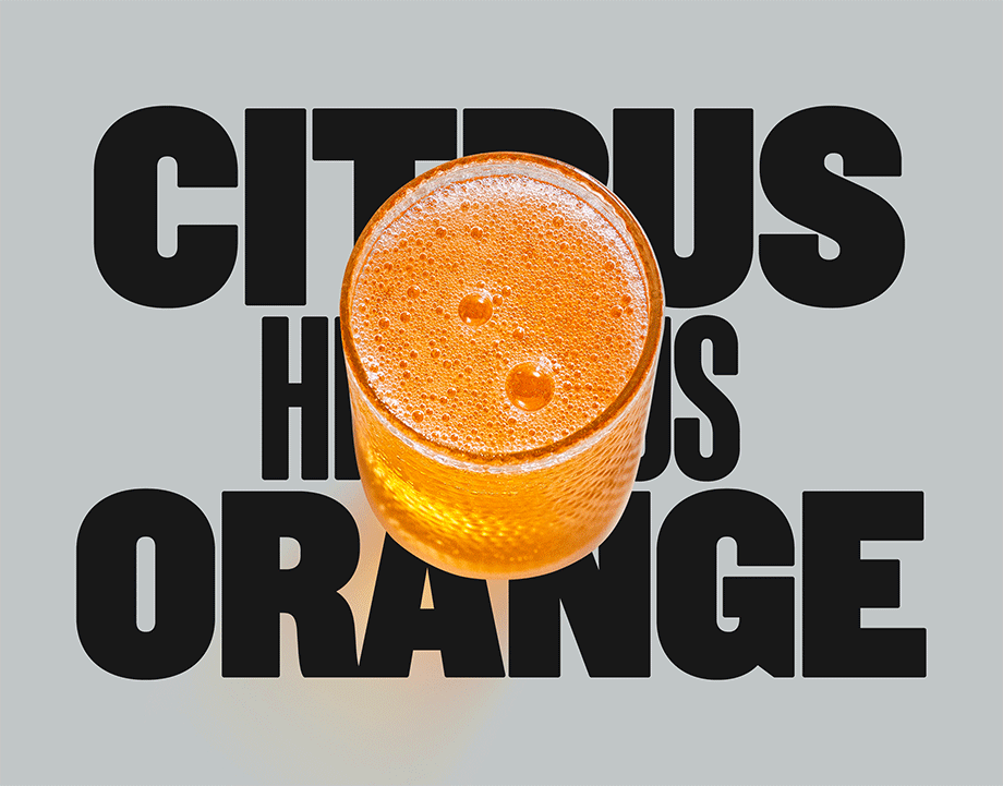 Citrus Hibiscus Orange Soda